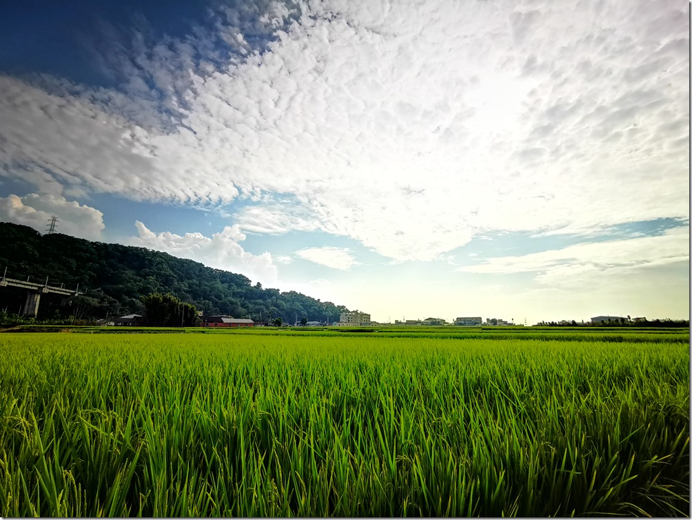 IMG_20181022_143114 IMG_20181022_143114