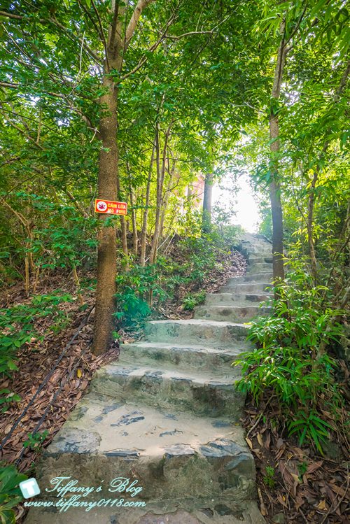 [越南旅遊]下龍灣TI TOP英雄島/登高俯瞰不一樣的下龍灣美景