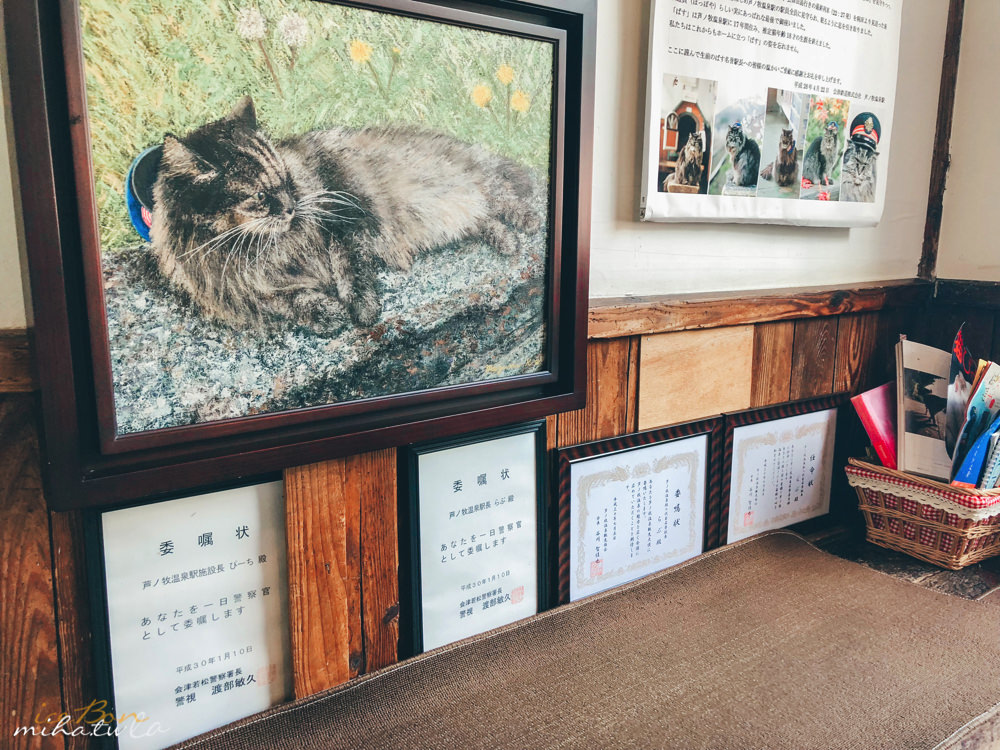 福島自由行,福島景點,福島好玩,貓站長,蘆之牧温泉站