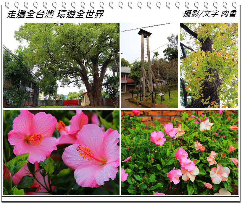 nEO_IMG_10.jpg nEO_IMG_10.jpg