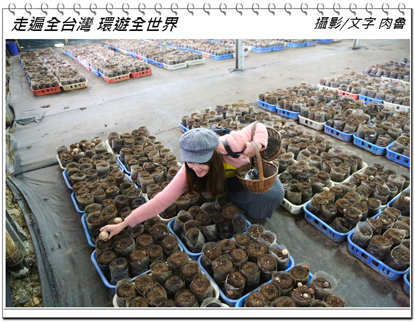 nEO_IMG_3.jpg nEO_IMG_3.jpg