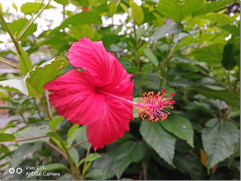 IMG_20181120_153831 IMG_20181120_153831