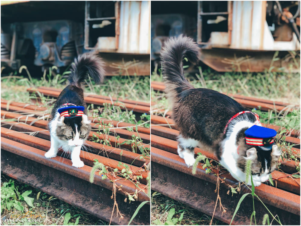 福島自由行,福島景點,福島好玩,貓站長,蘆之牧温泉站