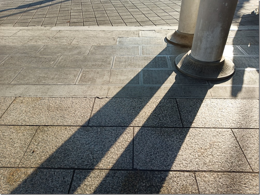 IMG_20181115_152520 IMG_20181115_152520