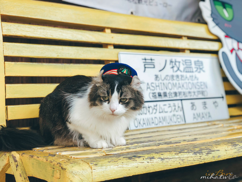 福島自由行,福島景點,福島好玩,貓站長,蘆之牧温泉站