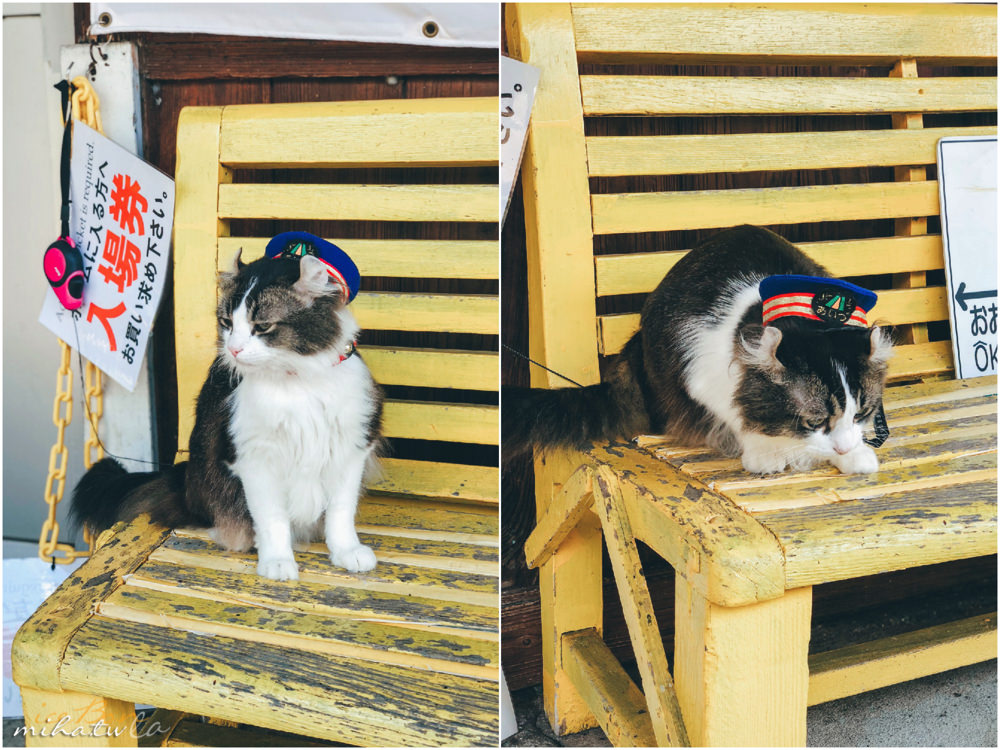 福島自由行,福島景點,福島好玩,貓站長,蘆之牧温泉站