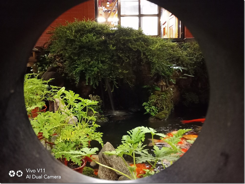 IMG_20181119_192637 IMG_20181119_192637