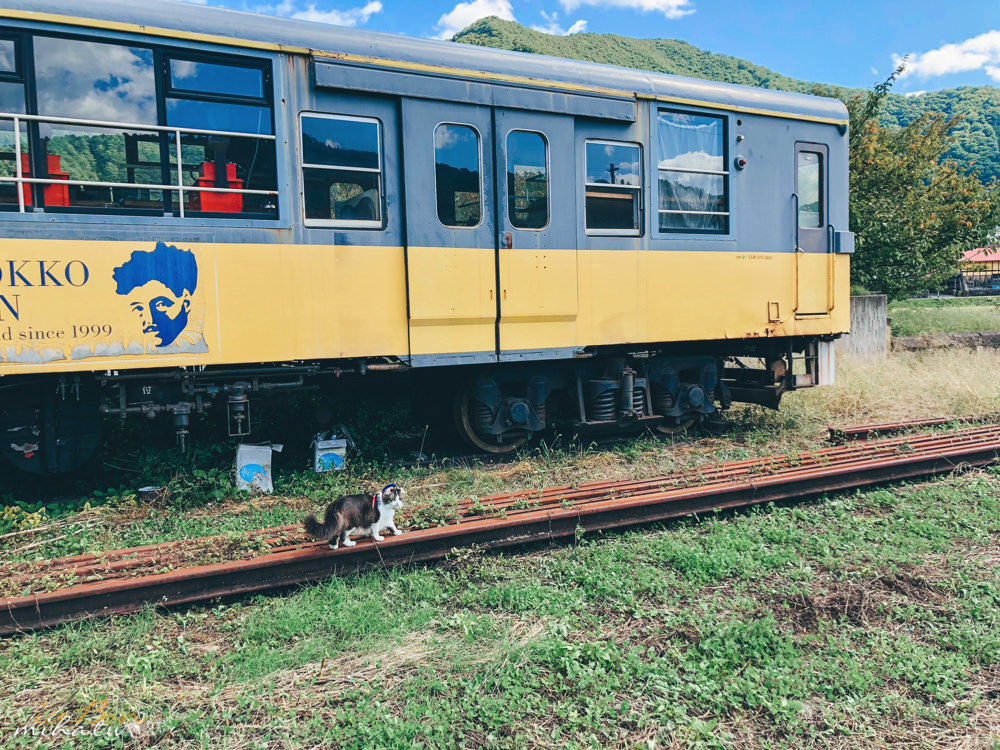 福島自由行,福島景點,福島好玩,貓站長,蘆之牧温泉站