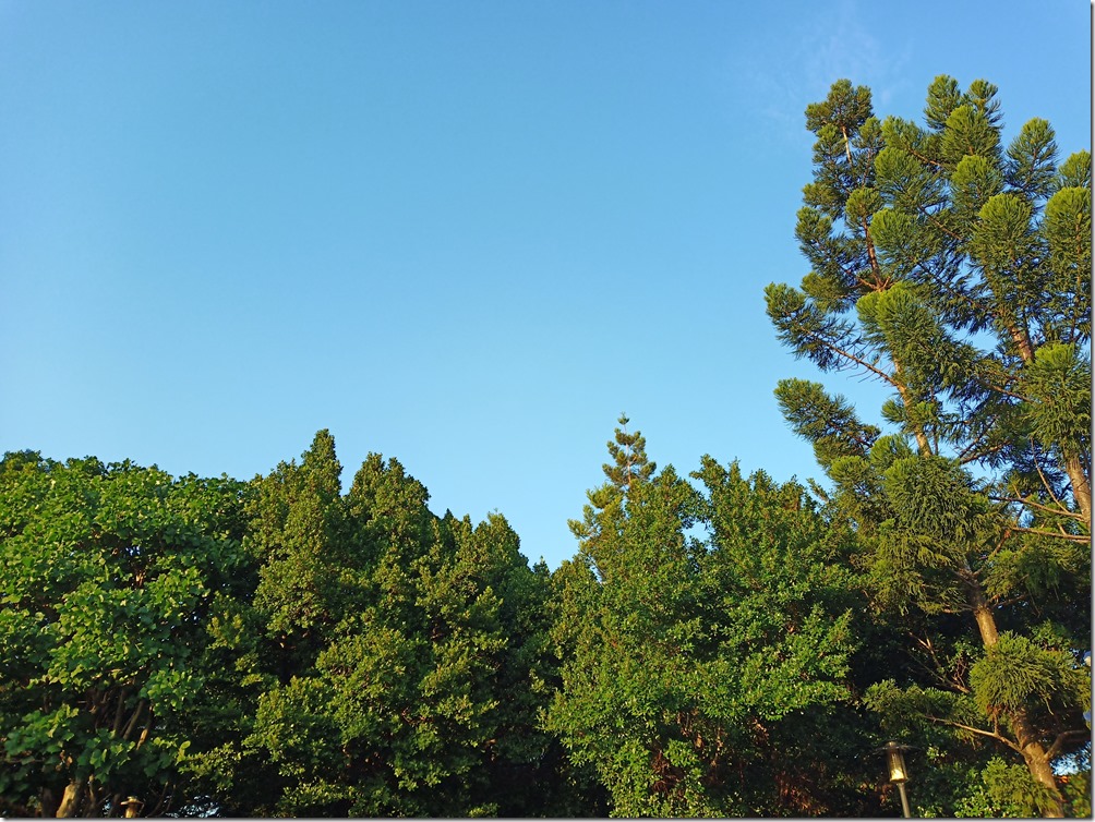 IMG_20181115_160822 IMG_20181115_160822