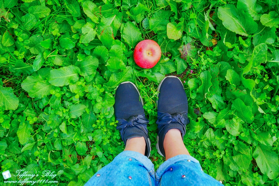 [日本東北]仙台山形五天四夜自由行懶人包/藏王纜車楓葉、山形採蘋果、山寺賞楓（2018仙台山形、東北6県感謝季）