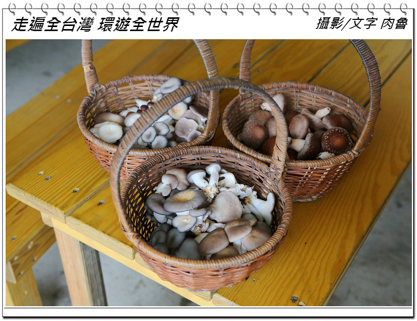 nEO_IMG_6.jpg nEO_IMG_6.jpg