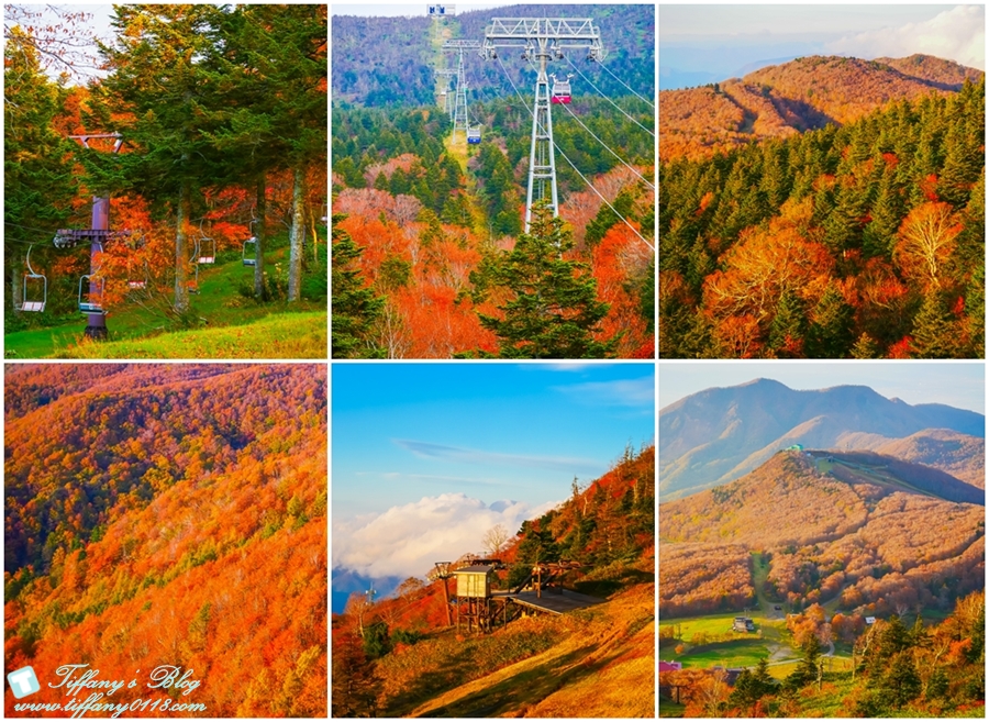 [日本東北]仙台山形五天四夜自由行懶人包/藏王纜車楓葉、山形採蘋果、山寺賞楓（2018仙台山形、東北6県感謝季）