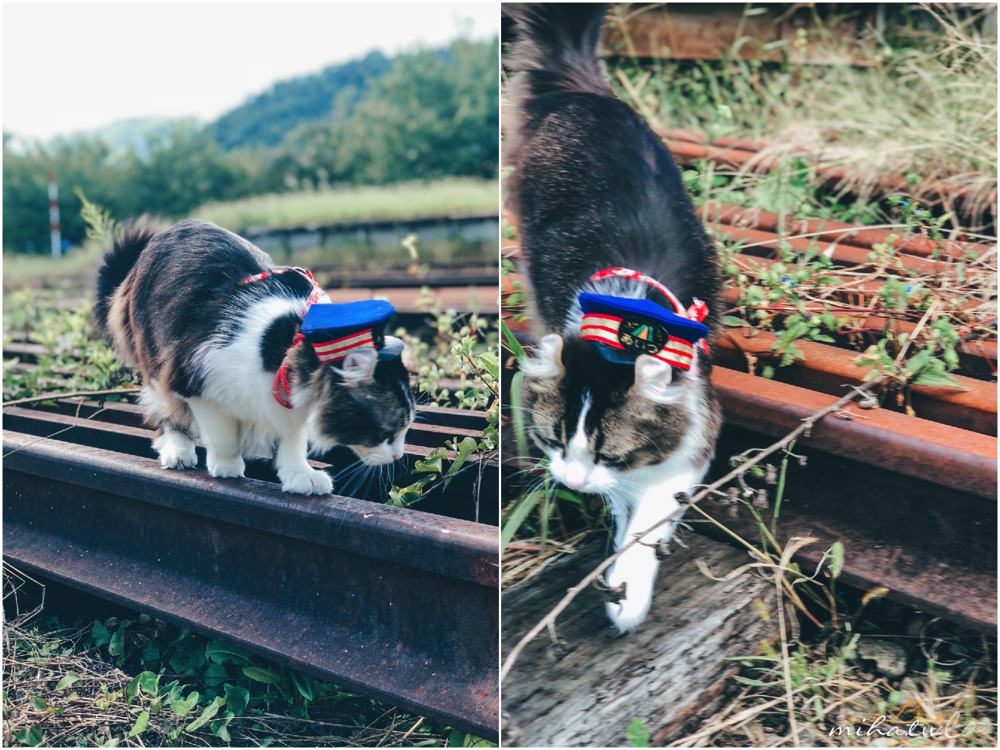 福島自由行,福島景點,福島好玩,貓站長,蘆之牧温泉站