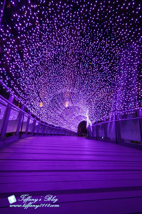 2019新北耶誕城燈區完整紀錄及交通資訊/教你怎麼玩怎麼去/32樓免費看夜景