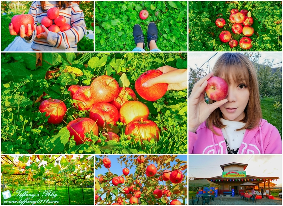 [日本東北]仙台山形五天四夜自由行懶人包/藏王纜車楓葉、山形採蘋果、山寺賞楓（2018仙台山形、東北6県感謝季）