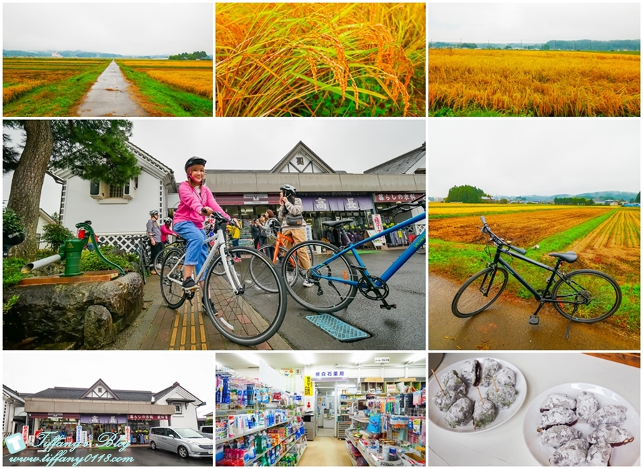 [日本東北]仙台山形五天四夜自由行懶人包/藏王纜車楓葉、山形採蘋果、山寺賞楓（2018仙台山形、東北6県感謝季）