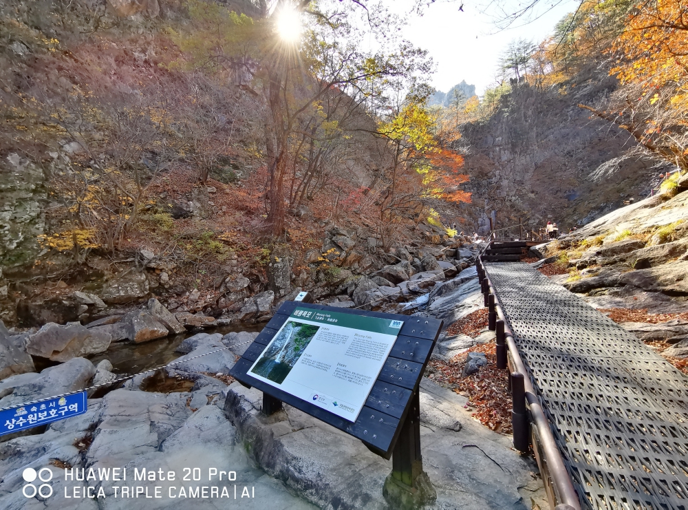 孤單又燦爛的旅程 給 HUAWEI Mate20 Pro 拍出首爾如韓劇繽紛綺麗的秋景