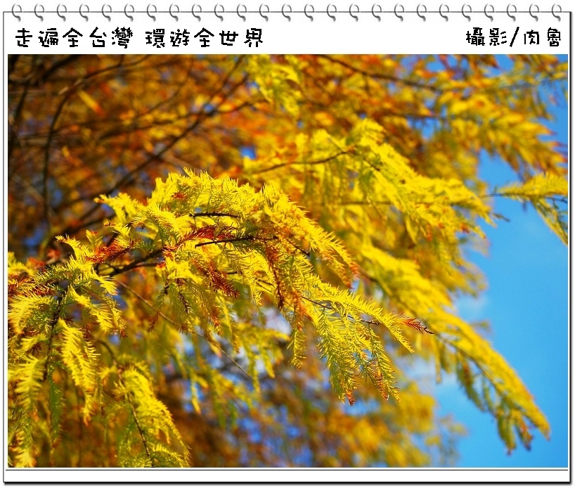 nEO_IMG_9.jpg nEO_IMG_9.jpg