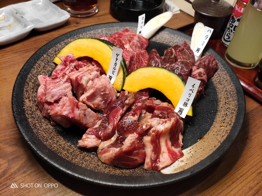日本東北圓夢之旅 X OPPO R17 Pro 只見線 藏王樹冰 銀山溫泉 會津若松城 松島
