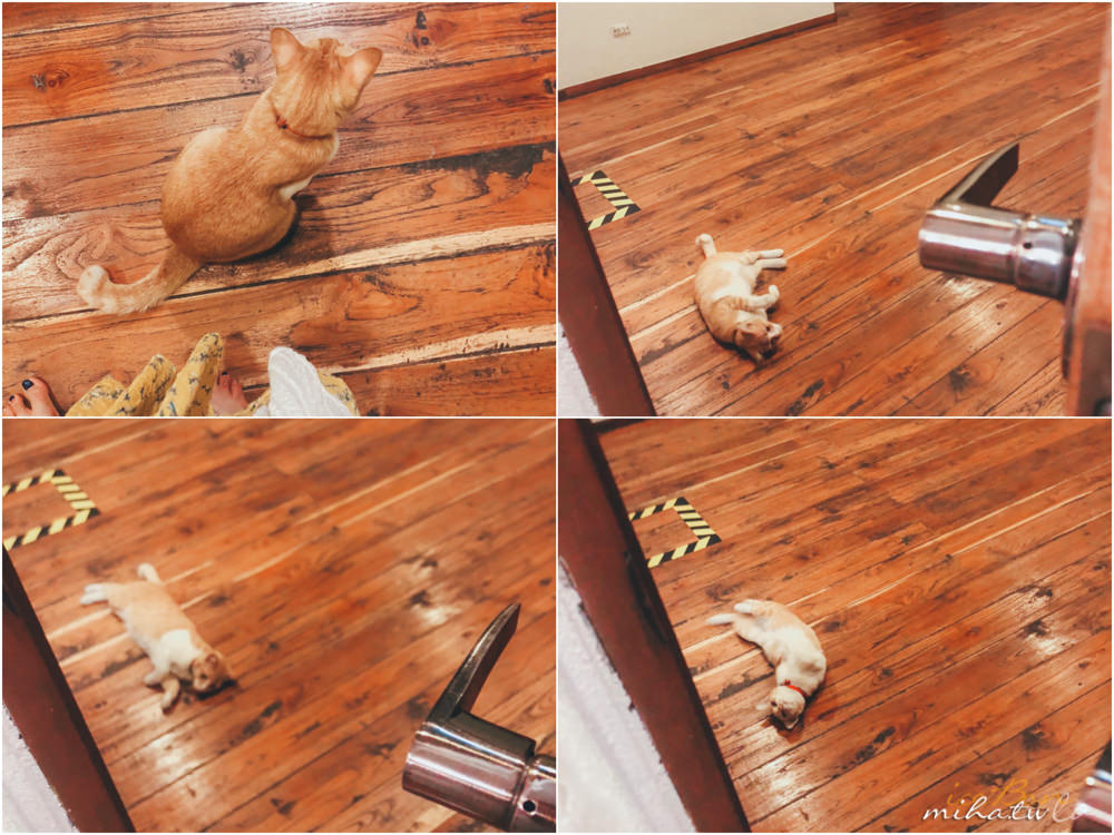 清邁飯店推薦,清邁自由行,清邁景點,清邁好玩,清邁住宿推薦,清邁水燈節