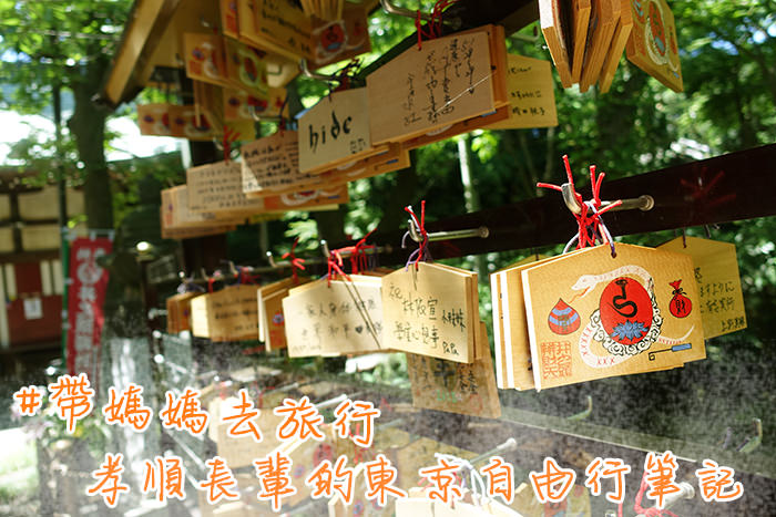 東京自由行,日本自由行,帶媽媽去旅行,長輩旅行,母親節旅行,東京紫藤花,東京賞花,東京芝櫻