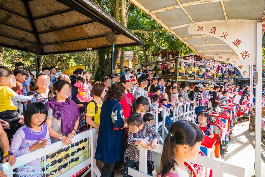 [嘉義景點]綠盈牧場/門票50元有十樣設施可以玩超划算/超美教堂可拍IG照/小朋友最愛的牽牛花造型溜滑梯