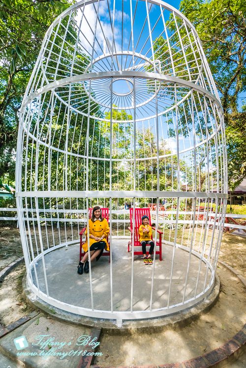 [嘉義景點]綠盈牧場/門票50元有十樣設施可以玩超划算/超美教堂可拍IG照/小朋友最愛的牽牛花造型溜滑梯