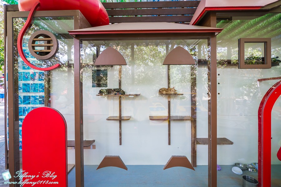 [嘉義景點]綠盈牧場/門票50元有十樣設施可以玩超划算/超美教堂可拍IG照/小朋友最愛的牽牛花造型溜滑梯