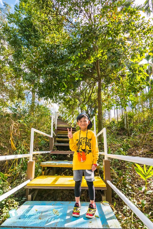 [嘉義景點]綠盈牧場/門票50元有十樣設施可以玩超划算/超美教堂可拍IG照/小朋友最愛的牽牛花造型溜滑梯