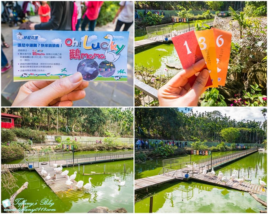 [嘉義景點]綠盈牧場/門票50元有十樣設施可以玩超划算/超美教堂可拍IG照/小朋友最愛的牽牛花造型溜滑梯