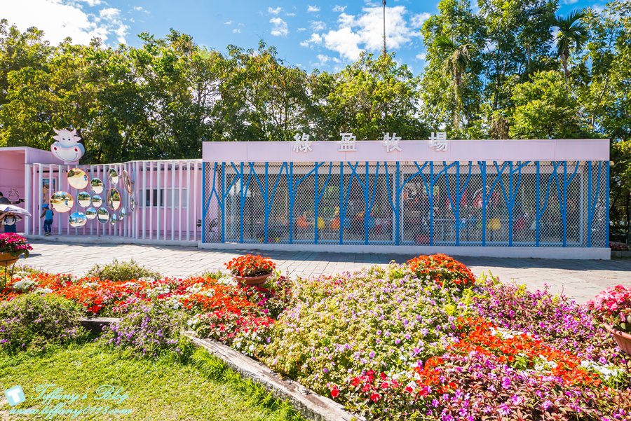 [嘉義景點]綠盈牧場/門票50元有十樣設施可以玩超划算/超美教堂可拍IG照/小朋友最愛的牽牛花造型溜滑梯