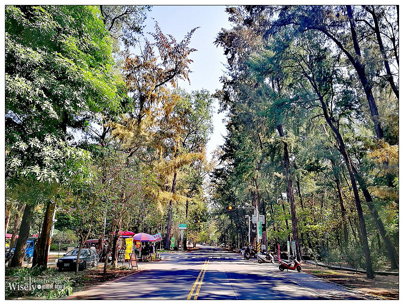 台南漁光島．餘光民宿︱遠離喧囂的日式和風住所，臺灣安平合法住宿推薦