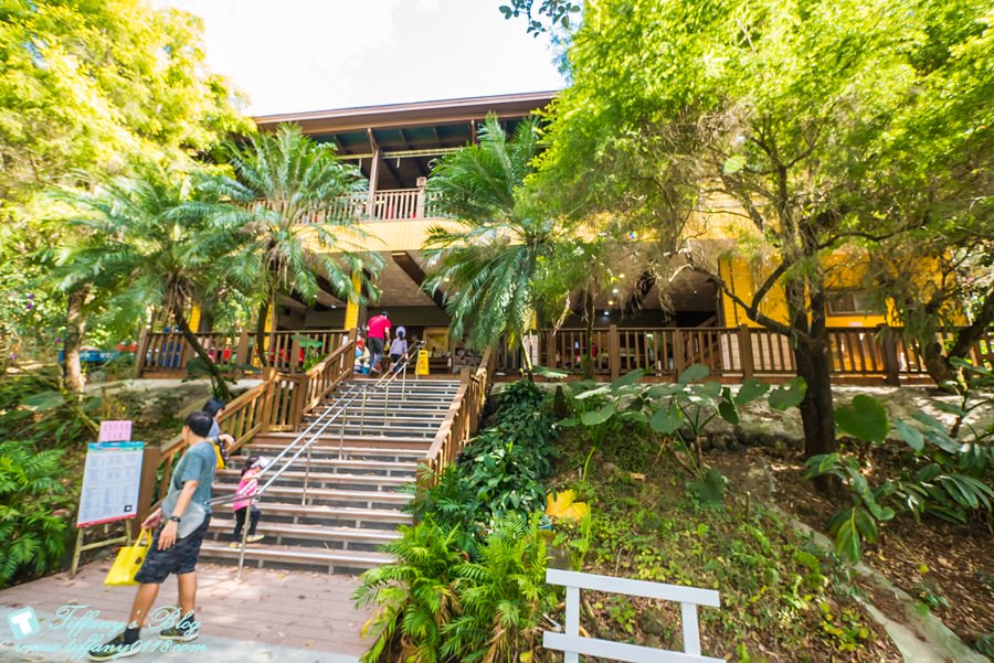 [嘉義景點]綠盈牧場/門票50元有十樣設施可以玩超划算/超美教堂可拍IG照/小朋友最愛的牽牛花造型溜滑梯