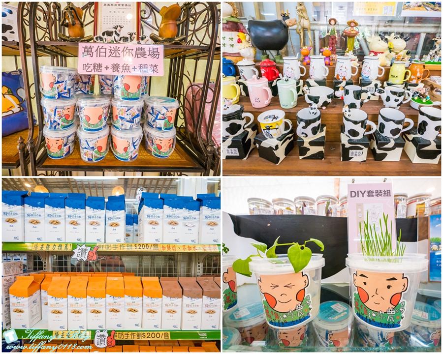 [嘉義景點]綠盈牧場/門票50元有十樣設施可以玩超划算/超美教堂可拍IG照/小朋友最愛的牽牛花造型溜滑梯