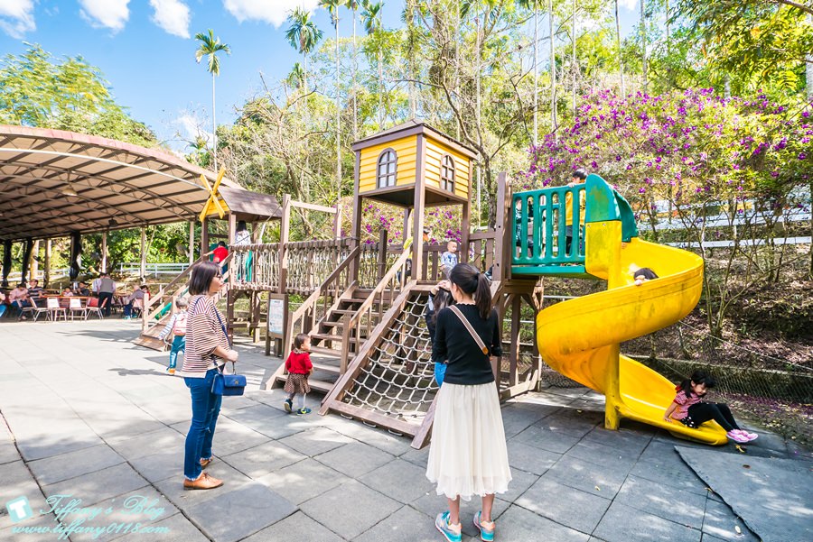 [嘉義景點]綠盈牧場/門票50元有十樣設施可以玩超划算/超美教堂可拍IG照/小朋友最愛的牽牛花造型溜滑梯