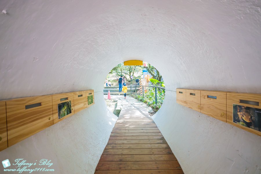 [嘉義景點]綠盈牧場/門票50元有十樣設施可以玩超划算/超美教堂可拍IG照/小朋友最愛的牽牛花造型溜滑梯