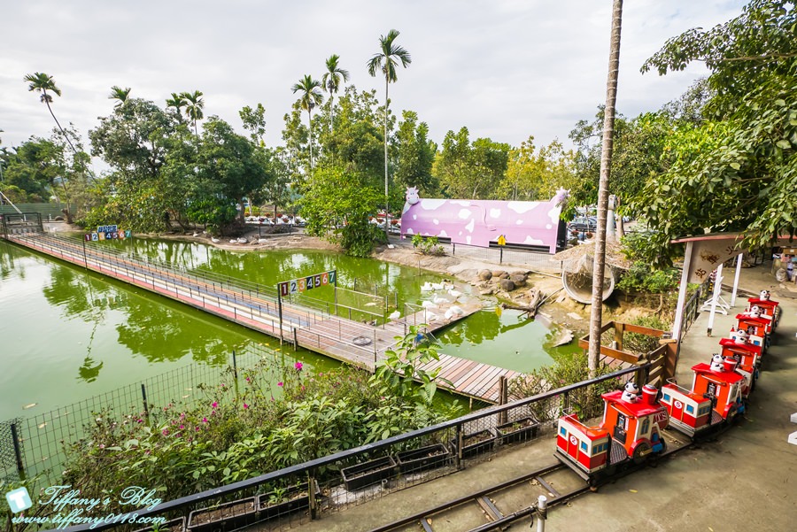 [嘉義景點]綠盈牧場/門票50元有十樣設施可以玩超划算/超美教堂可拍IG照/小朋友最愛的牽牛花造型溜滑梯