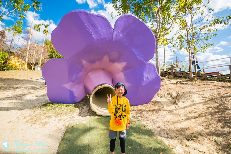 [嘉義景點]綠盈牧場/門票50元有十樣設施可以玩超划算/超美教堂可拍IG照/小朋友最愛的牽牛花造型溜滑梯