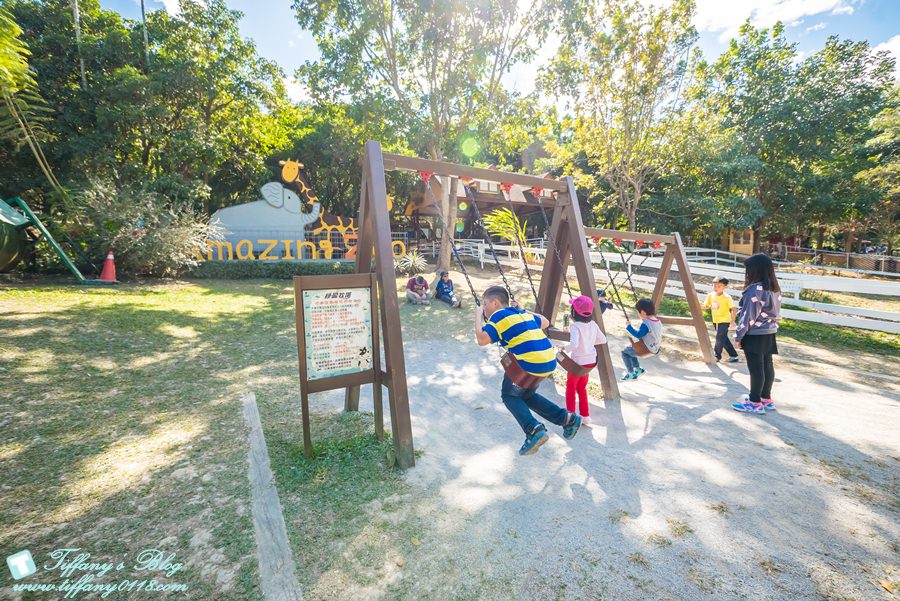 [嘉義景點]綠盈牧場/門票50元有十樣設施可以玩超划算/超美教堂可拍IG照/小朋友最愛的牽牛花造型溜滑梯