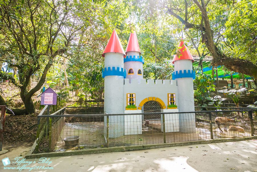 [嘉義景點]綠盈牧場/門票50元有十樣設施可以玩超划算/超美教堂可拍IG照/小朋友最愛的牽牛花造型溜滑梯