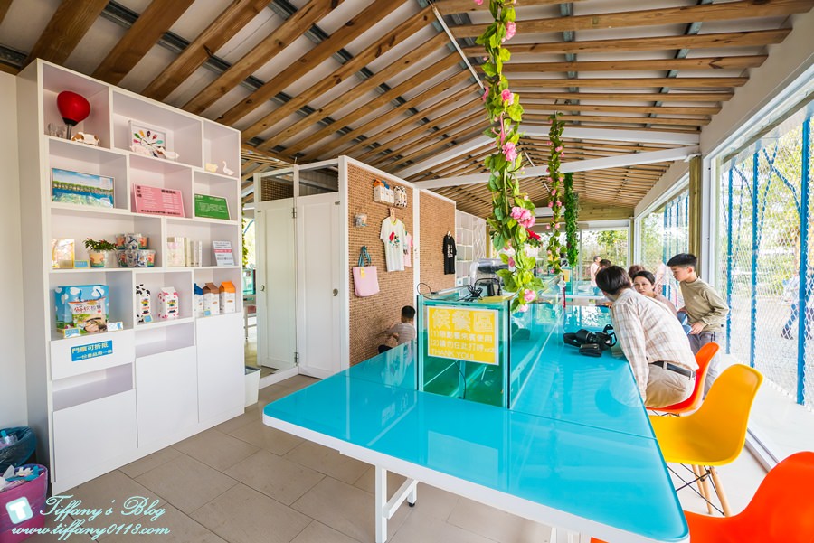 [嘉義景點]綠盈牧場/門票50元有十樣設施可以玩超划算/超美教堂可拍IG照/小朋友最愛的牽牛花造型溜滑梯