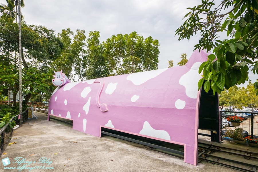 [嘉義景點]綠盈牧場/門票50元有十樣設施可以玩超划算/超美教堂可拍IG照/小朋友最愛的牽牛花造型溜滑梯