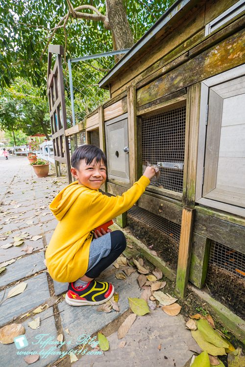 [嘉義景點]綠盈牧場/門票50元有十樣設施可以玩超划算/超美教堂可拍IG照/小朋友最愛的牽牛花造型溜滑梯