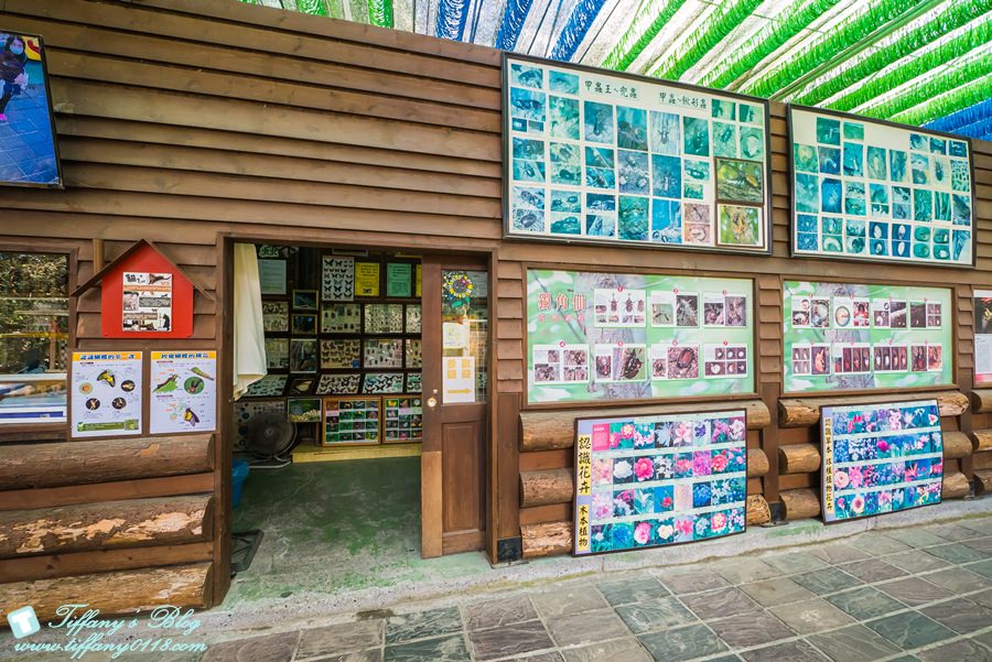 [嘉義景點]綠盈牧場/門票50元有十樣設施可以玩超划算/超美教堂可拍IG照/小朋友最愛的牽牛花造型溜滑梯