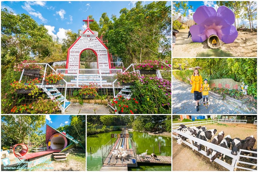 [嘉義景點]綠盈牧場/門票50元有十樣設施可以玩超划算/超美教堂可拍IG照/小朋友最愛的牽牛花造型溜滑梯