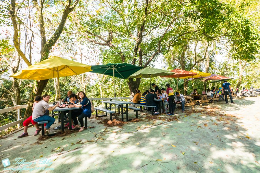 [嘉義景點]綠盈牧場/門票50元有十樣設施可以玩超划算/超美教堂可拍IG照/小朋友最愛的牽牛花造型溜滑梯