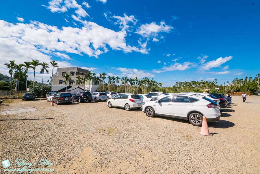 [嘉義景點]綠盈牧場/門票50元有十樣設施可以玩超划算/超美教堂可拍IG照/小朋友最愛的牽牛花造型溜滑梯