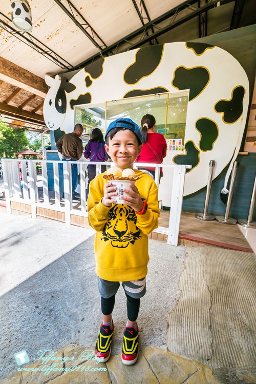 [嘉義景點]綠盈牧場/門票50元有十樣設施可以玩超划算/超美教堂可拍IG照/小朋友最愛的牽牛花造型溜滑梯