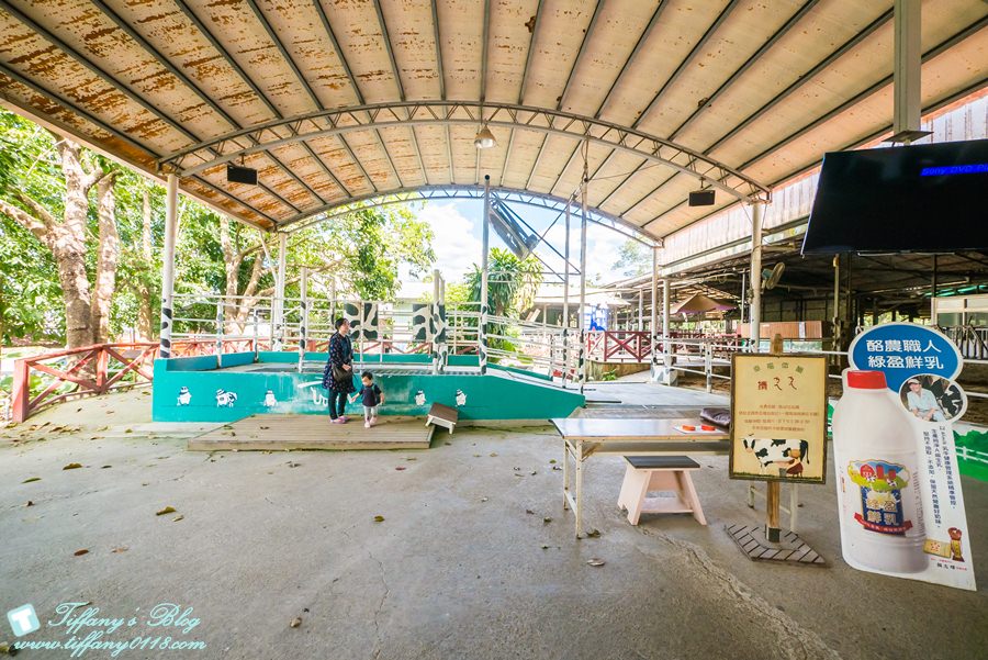 [嘉義景點]綠盈牧場/門票50元有十樣設施可以玩超划算/超美教堂可拍IG照/小朋友最愛的牽牛花造型溜滑梯