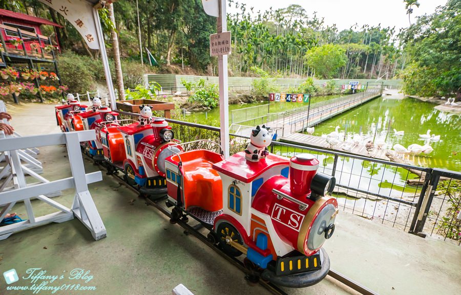 [嘉義景點]綠盈牧場/門票50元有十樣設施可以玩超划算/超美教堂可拍IG照/小朋友最愛的牽牛花造型溜滑梯